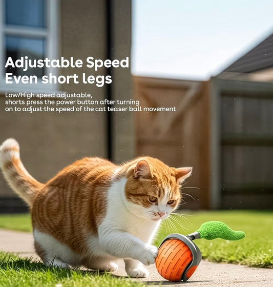 CalmPaws Solutions™ Interactive Cat Ball – Automatic Rolling Toy